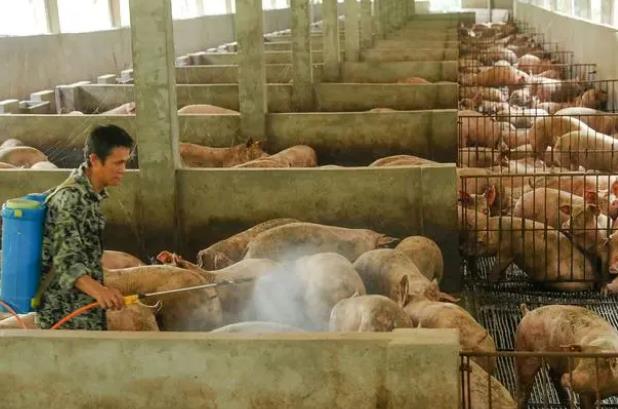 生物除臭菌種養(yǎng)殖除臭應(yīng)用