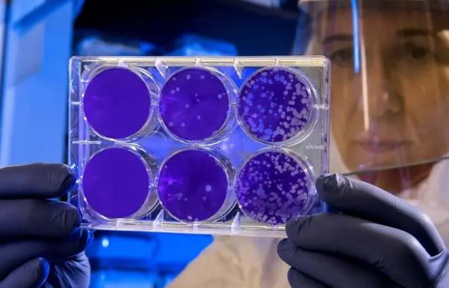 ѿ�ߗU���������������B(y��ng)ֳ�S����������x��