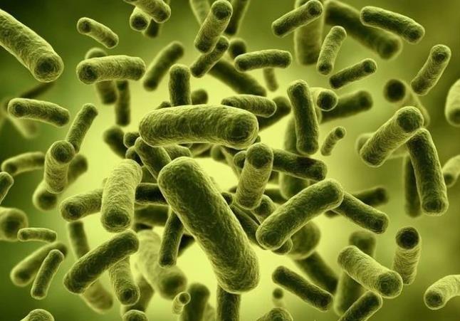 �����׌�(du��)�r�B(y��ng)ֳ�����������Щ�����(l��i)������������Щ��